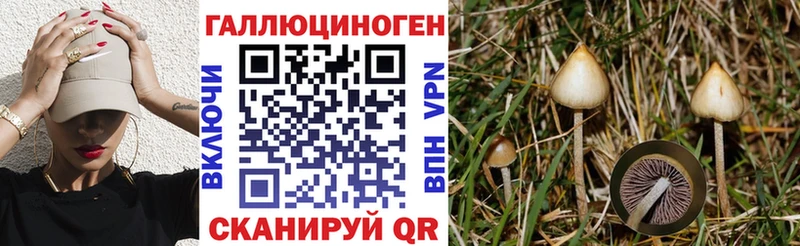 Псилоцибиновые грибы прущие грибы  Пущино 