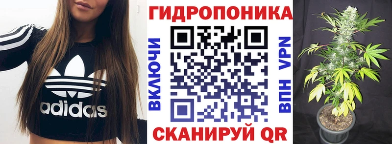 Бошки марихуана VHQ  где купить наркотик  Пущино 